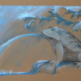 Grenouille | Pastel gras | 33x57